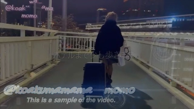 スーツケースを引いて夜の橋を歩く場面