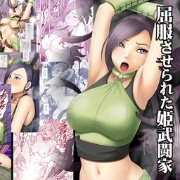屈服させられた姫武闘家