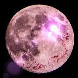 静かの海🌙